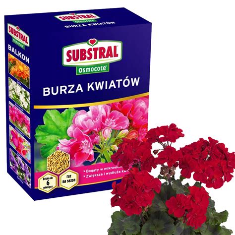 SUBSTRAL OSMOCOTE BURZA KWIATÓW BALKON NAWÓZ DO ROŚLIN BALKONOWYCH 300G