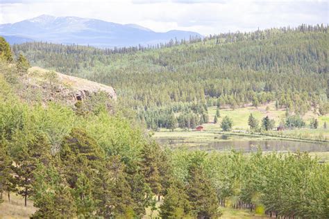 The Boreal Forest - A Life Source - Yukon Wildlife Preserve