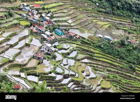 The Batad Village Cluster Part Of The Rice Terraces Of The Philippine