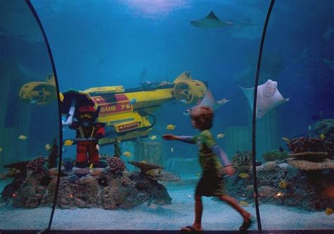 Legoland to reopen its aquarium this Saturday, but the theme park will ...