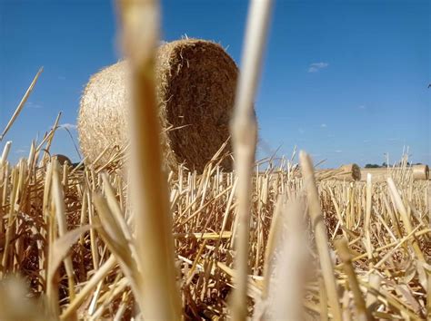 Wyniki Szacowania Strat Suszowych Przez Komisje Strefa Agro