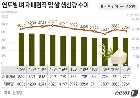 올해 쌀 생산량 3764만톤1년새 3 줄어 마이너스 전환 네이트 뉴스