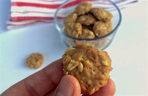 Recipe My Simple Homemade Tuna Catnip Cookies Pumpkin Dog Treats