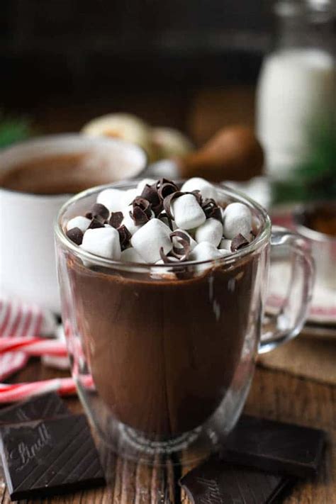 Homemade Hot Chocolate Recipe The Seasoned Mom