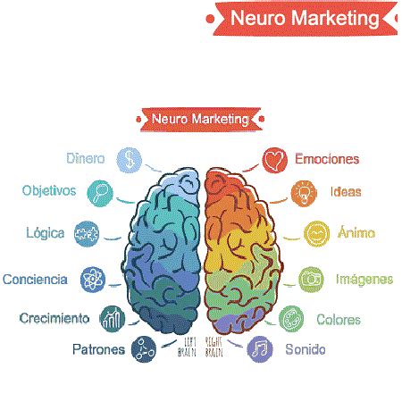 Neuromarketing La Ciencia De Comprender Al Consumidor Marketing Digital