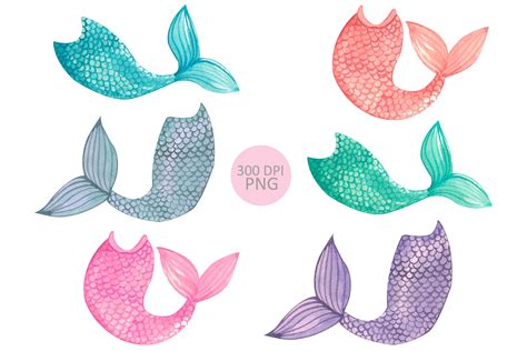 Isolated Mermaid Tail Stock Illustrations 6536 Isolated Mermaid Clip Art Library