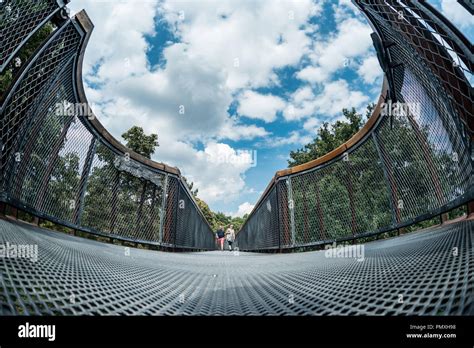 Tree Top Walkway - Kew Gardens Stock Photo - Alamy