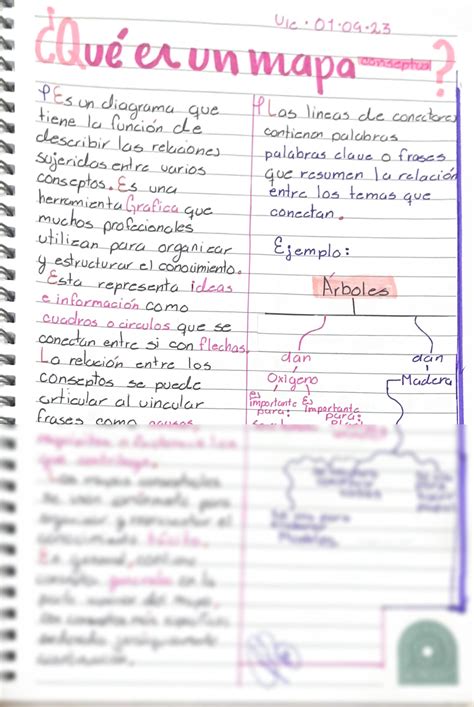 SOLUTION Mapa Conceptual Y Cuadro Sin Ptico Studypool