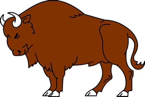 Bison Cartoon - ClipArt Best