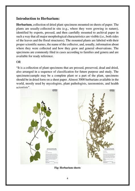 SOLUTION Herbarium Botanical Garden Biodiversity Conservation Studypool