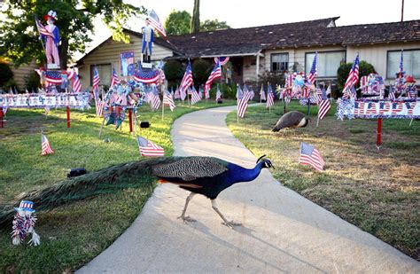 Leaders Urge People To Scare Peacocks Off On Their Own Citing 30k