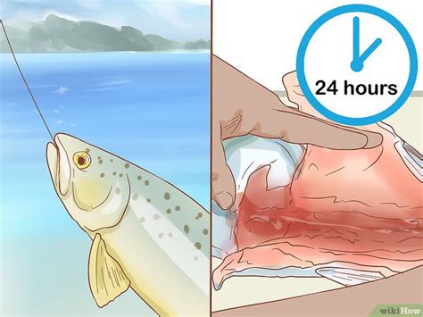 Formas De Guardar Peixe Fresco Wikihow