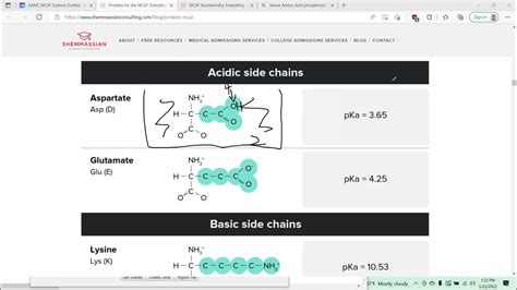 Mcat Review 1a Structure And Function Of Proteins And Their Constituent Amino Acids Youtube