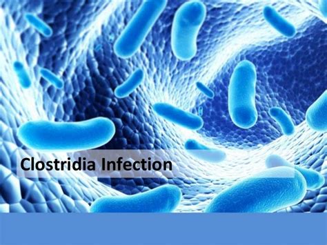 Clostridia Infection