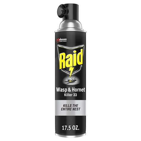 Raid Wasp & Hornet Killer 33, Outdoor Flying Insect Spray, 17.5 oz ...