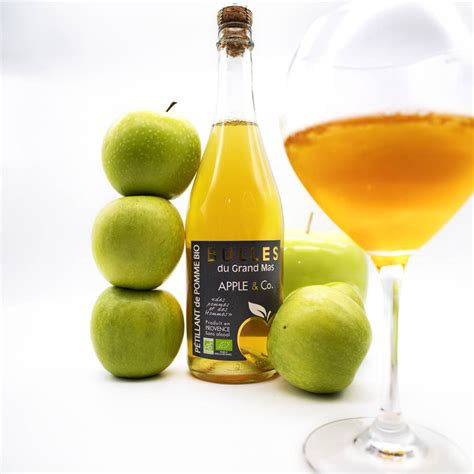 P Tillant De Pomme Bio L Domaine Saint Vincent