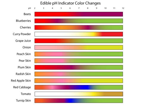 Edible Ph Indicators Color Chart Ph Chemistry And Teaching Chemistry