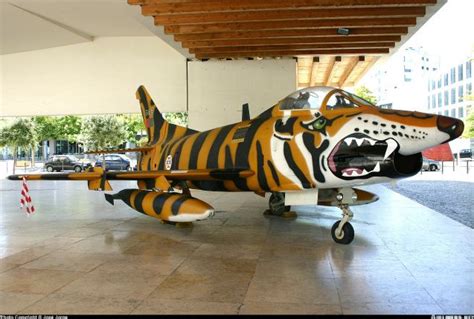 Airmen Fly Girls And Shark Teeth Nose Art Aircraft Art Aircraft