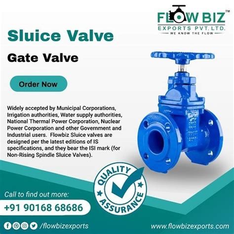 Best Sluice Gate Valve Manufacturer in Jamnagar, India