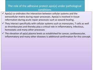 Apolipo Proteins Ppt