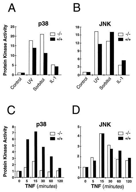 Requirement of mitogen-activated protein kinase kinase 3 (MKK3) for ...
