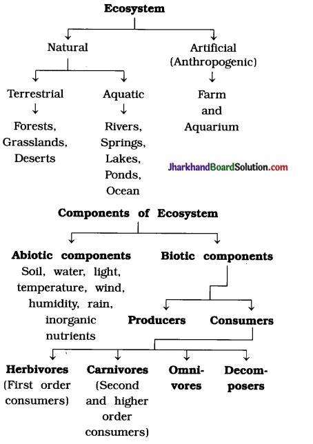 Jac Class 10 Science Notes Chapter 15 Our Environment Jharkhand Board