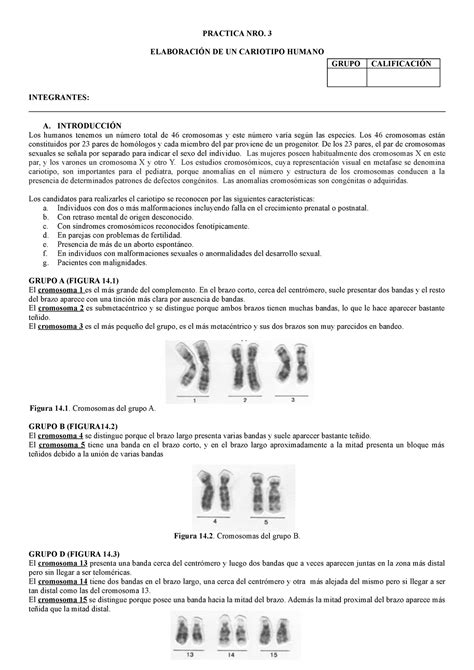 PRÁ Ctica Nº 3 BC PRACTICA NRO 3 ELABORACIÓN DE UN CARIOTIPO HUMANO