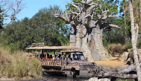 Attraction Focus: Kilimanjaro Safaris – Main Street Pop In