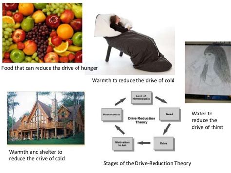 Drive reduction theory