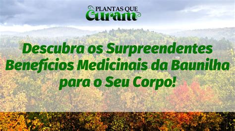 Descubra Os Surpreendentes Benef Cios Medicinais Da Baunilha Para O Seu