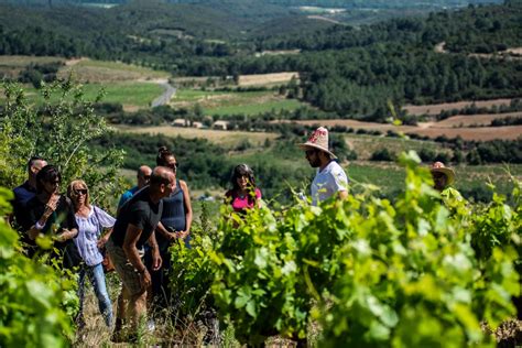 La Dégustation Des Vins Du Languedoc Vous Emmènera Au Domaine De Cambis