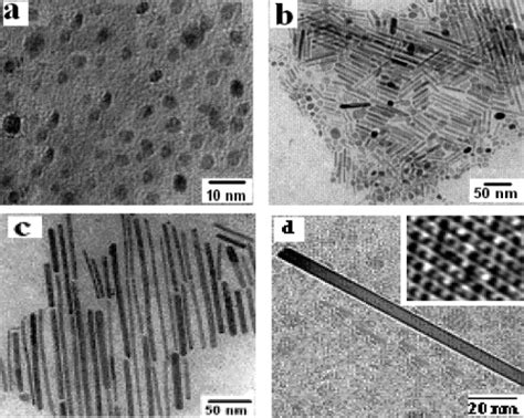 Tem Images Of Mno A Spherical Nanoparticles B Mixture Of