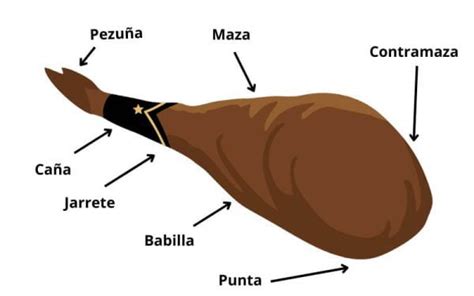 Partes de un jamón Aprende a distinguirlas