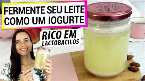 Fermente Seu Leite Vegetal Probi Tico Como Iogurte Rico Em