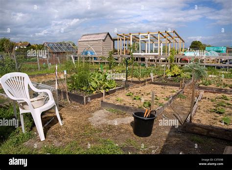 Working Allotment Scene Stock Photo Alamy