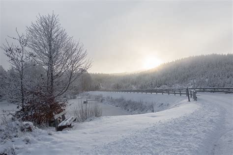 Winter im Tannermoor klirrende Kälte am Morgen im Tannermo Roland