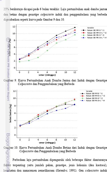 Pertumbuhan Anak Domba Periode Prasapih Dari Induk Dengan Genotipe Calpastatin Cast Dan Pakan