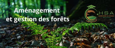 Gestion et Aménagement des Forêts HSAM