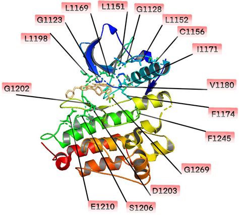 Frontiers The Resistance Mechanisms And Treatment Strategies For ALK