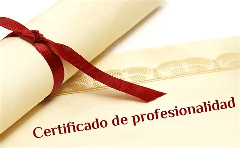 El Certificado De Profesionalidad Como Herramienta Para La Búsqueda De