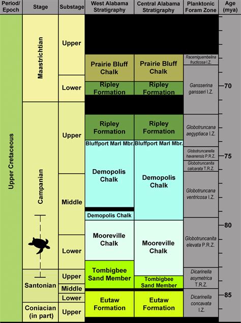 Generalized Santonian Through Campanian Surface Stratigraphy Of Western