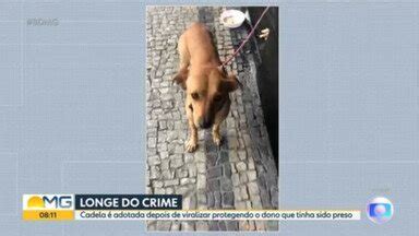 BOM DIA ACRE Cadela Que Viralizou Depois De Proteger Dono Preso Em