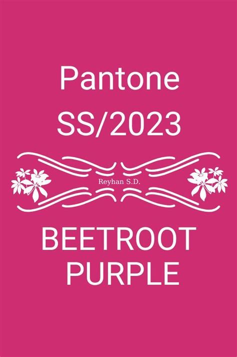 Pantone 2023 | SS NYFW Color Palette ''Beetroot Purple'' by Reyhan S.D.