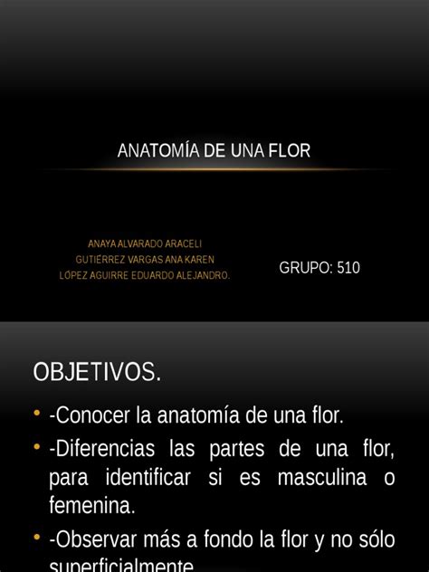 Pdf Anatom A De Una Flor Dokumen Tips