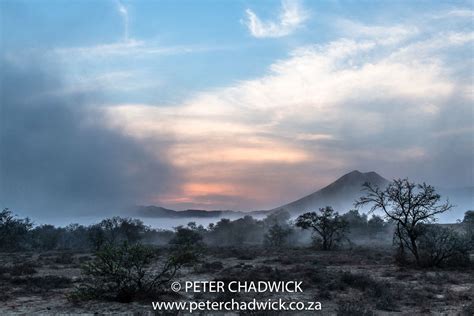 South Africas Wild Diversity Peter Chadwick African Conservation