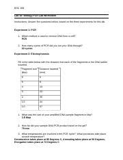 Utf Lab Biology Pcr Worksheet Docx Bsc Lab Biology Pcr