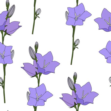 Hand drawn Campanula Flower seamless pattern background 3355268 Vector ...