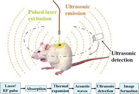 Principle Of Photoacoustic Imaging Wikipedia Download Scientific