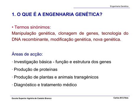 PDF 1 O QUE É A ENGENHARIA GENÉTICA 1 O QUE A ENGENHARIA GEN