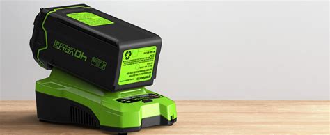 Greenworks Batterie 40V Puissante Batterie Lithium Ion 4Ah Pour